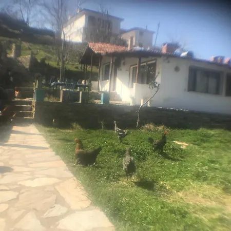 Ubytování v soukromí Alice Pansiyon Cottage House *
