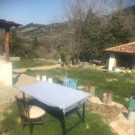 Ubytování v soukromí Alice Pansiyon Cottage House Selcuk
